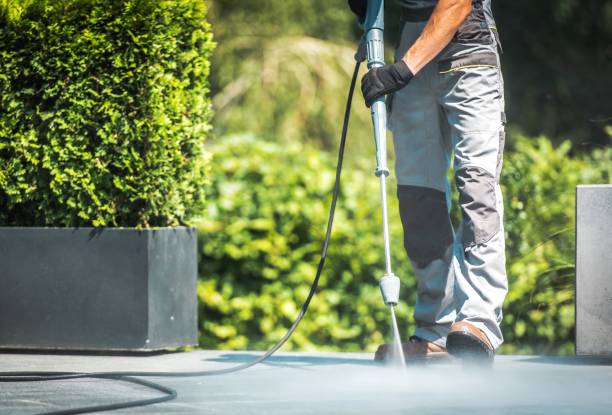 Animal Enclosure Cleaning in New Franklin, OH